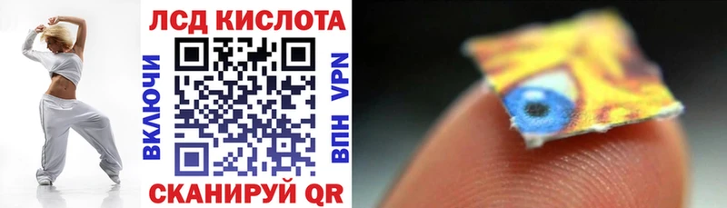 Купить закладки  Новотроицк  Наркотические марки 1,8мг 